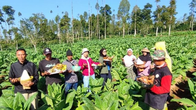 Gelar Ritual Wiwit, Ini Harapan Petani Tembakau Temanggung 