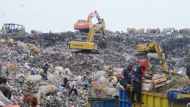 Pengamat UGM Dukung Sampah Perkotaan Menjadi Sumber Energi