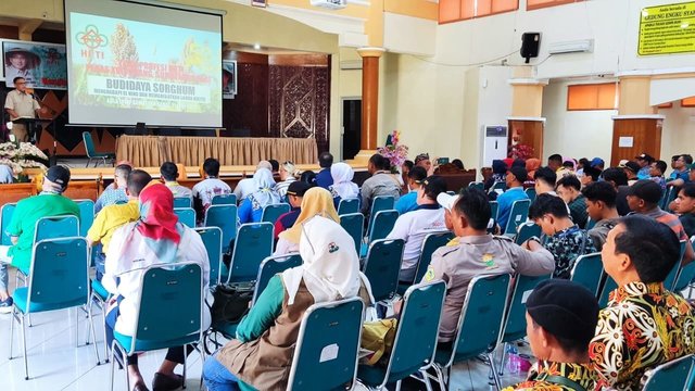 HKTI Edukasi Budidaya dan Pemanfaatan Sorghum