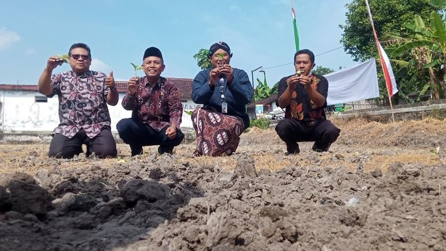 Wonokromo Gencarkan Budidaya Tembakau | KRJOGJA