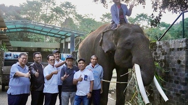 Cerita Lisi, Endra dan Eca Tak Lagi Ditunggangi Kini Pindah ke Gembiraloka Zoo