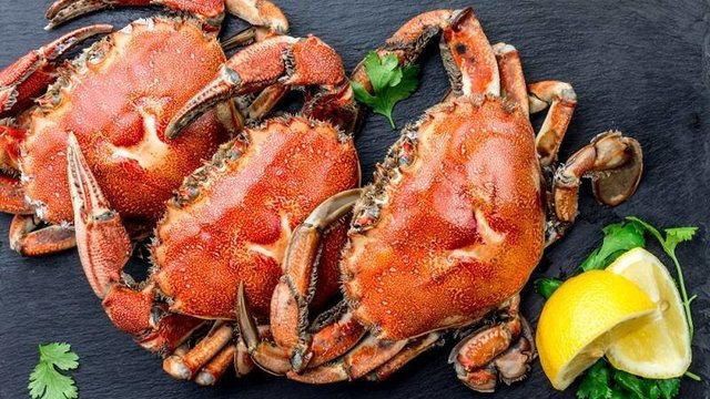 Cangkang Kepiting Sebagai Pengganti Lithium-Ion, Kok Bisa?