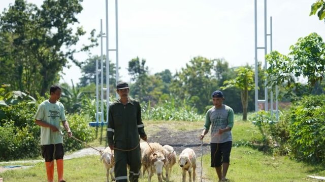 DD Farm Ciptakan Lapangan Pekerjaan Sekaligus Melahirkan Pengusaha Ternak