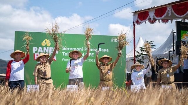 Digitalisasi Pertanian INDICO Tingkatkan Kualitas Hasil Pertanian Petani Wonogiri