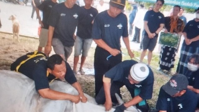 Idul Adha di Pakualaman Bawa Semangat Kebersamaan