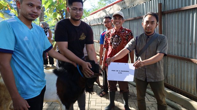 Unimus Qurban 11 Sapi dan 14 Kambing