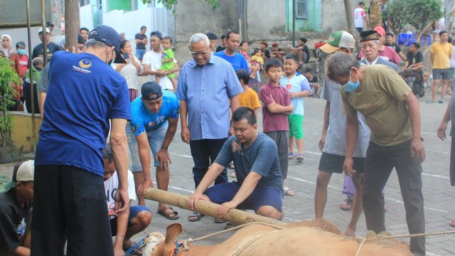 Kurban Ibadah Sosial | KRJOGJA