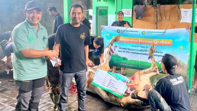 RS PKU Muhammadiyah Yogya dan Gamping Sembelih Hewan Kurban