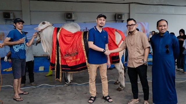 Idul Adha 1444 H, MS GLOW Salurkan 50,000 Kilogram Kurban Bersama Para Seller