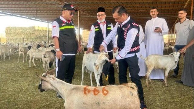 75 Ribu Kantung Daging Kambing Dam Jemaah Haji Siap Dikirim ke RI
