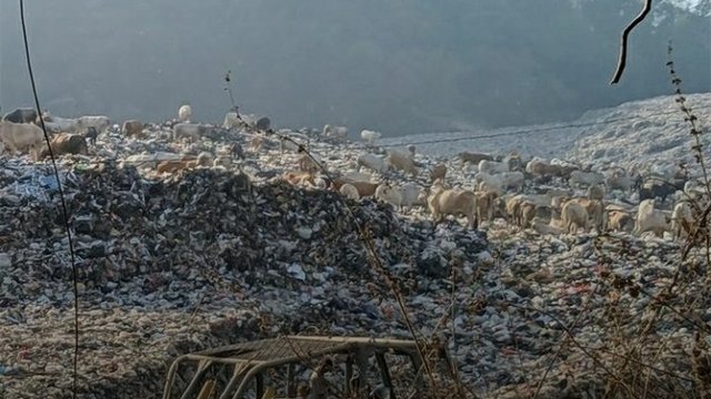 Ramai TPA Piyungan Tutup Lama Lagi, Pemda DIY Sudah Ingatkan Bupati-Walikota