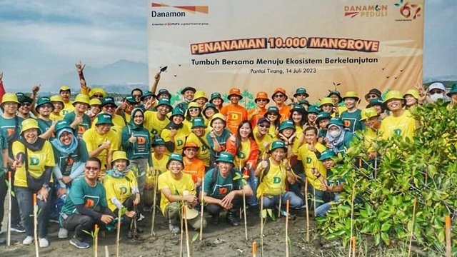 10 Ribu Mangrove Danamon Ditanam Di Pantai Tirang