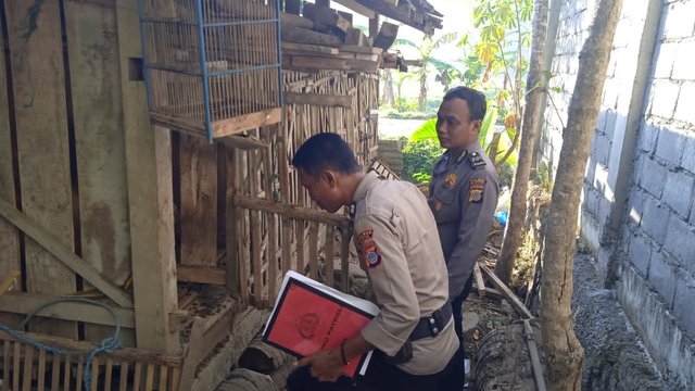 Pencurian Ternak Kambuh Lagi, Resahkan Warga Bantul