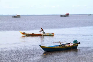 Produksi Terus Menurun, Nelayan Udang Rebon di Bengkalis Hadapi Berbagai Kendala