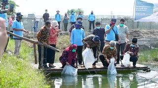 Menyelamatkan Ikan Endemik Asli Indonesia dari Ancaman Kepunahan