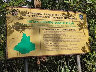 Nasib Pulau-pulau Kecil di Kepri Kala Sawit Datang