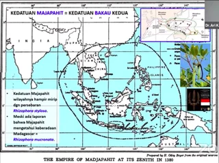 LIPI : Jejak Peradaban Nusantara Ternyata Terkait Erat dengan Mangrove