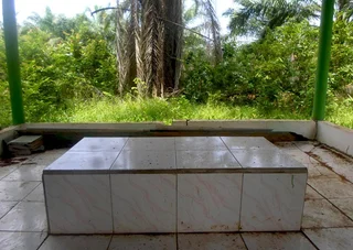 Lokasi Raja Sriwijaya Beramanat Ekologi Ini Dikepung Kebun Sawit
