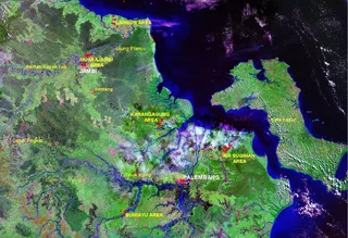 Mampukah Tim Restorasi Gambut Sumsel Selamatkan Situs Sriwijaya?