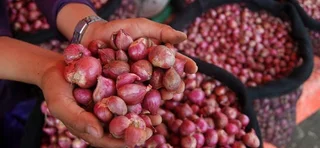 Pedagang Dorong Pemerintah Buka Kuota Impor Bawang