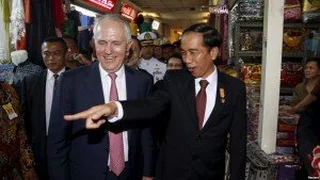 Jokowi-Turnbull Bahas Kerjasama Pembiakan Sapi Hingga Ekonomi Digital