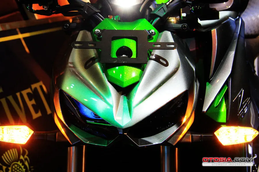 Kawasaki Z1000 Kawasaki Z1000