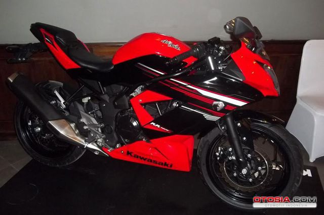 Kawasaki Ninja  RR Mono 250cc Spesies Baru Suksessor 