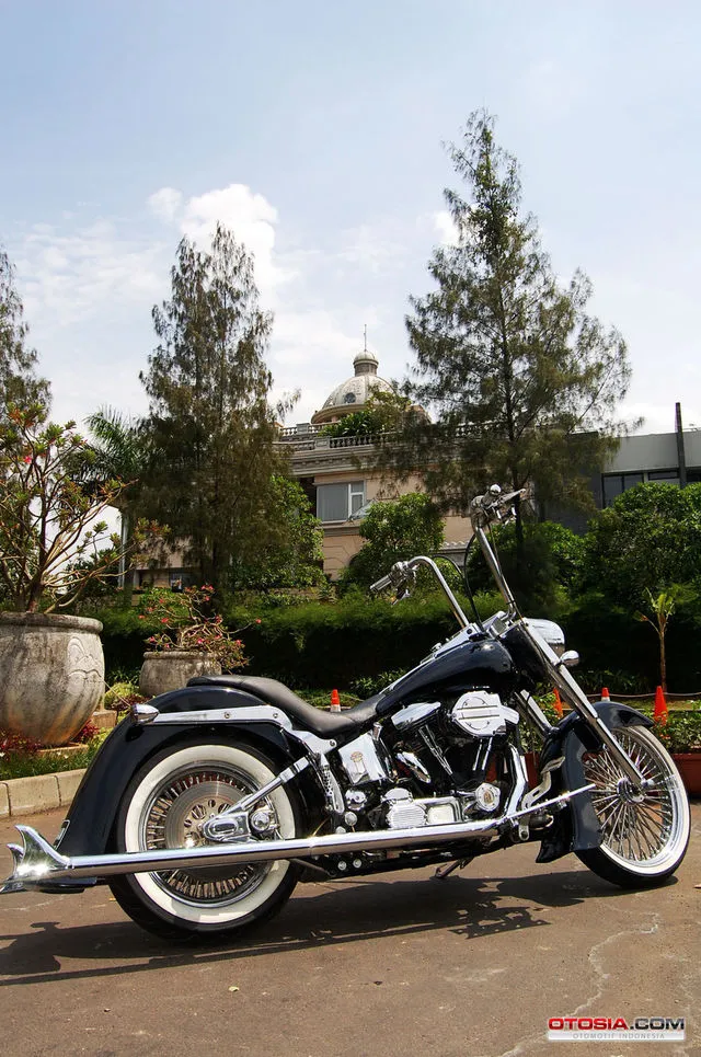 Modif Harley Fatboy Ala Lowrider - Modifikasi Harley 