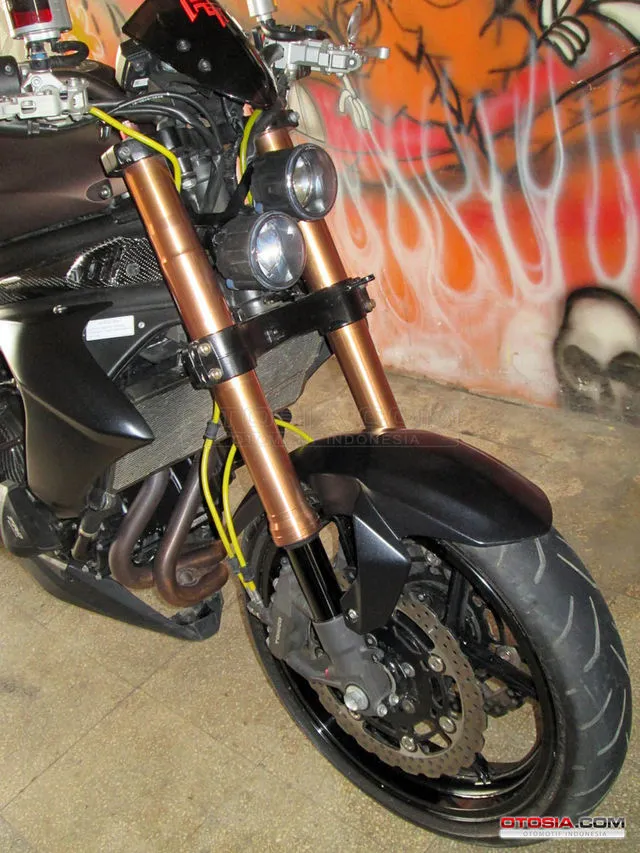 Modifikasi Kawasaki ER-6n Rasa Ducati Diavel - Kawasaki ER 