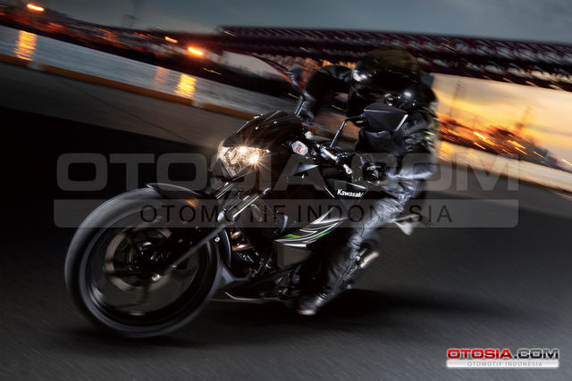 New Kawasaki Z250 2013 - Motor Sport Street Fighter 