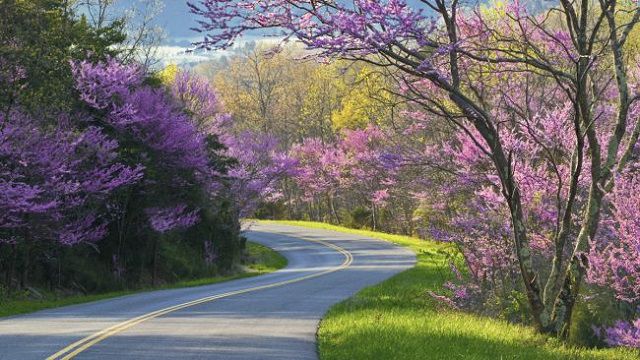 Pemandangan Jalan Terindah Jalanan dengan Pemandangan 