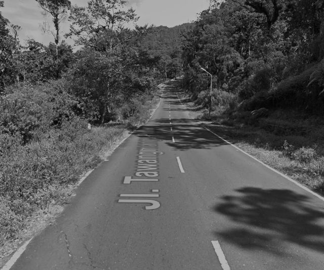 Jalur Karanganyar-Madiun via Tawangmangu (Google Street View)