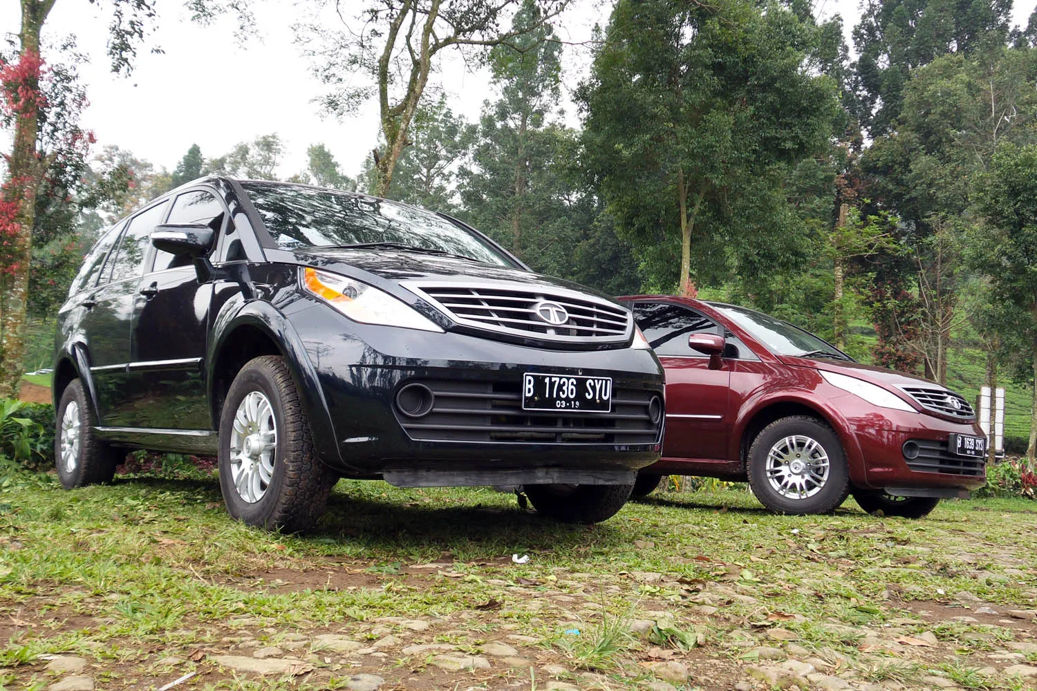indonesia pastikan aria dan safari storme aman minum solar 768394