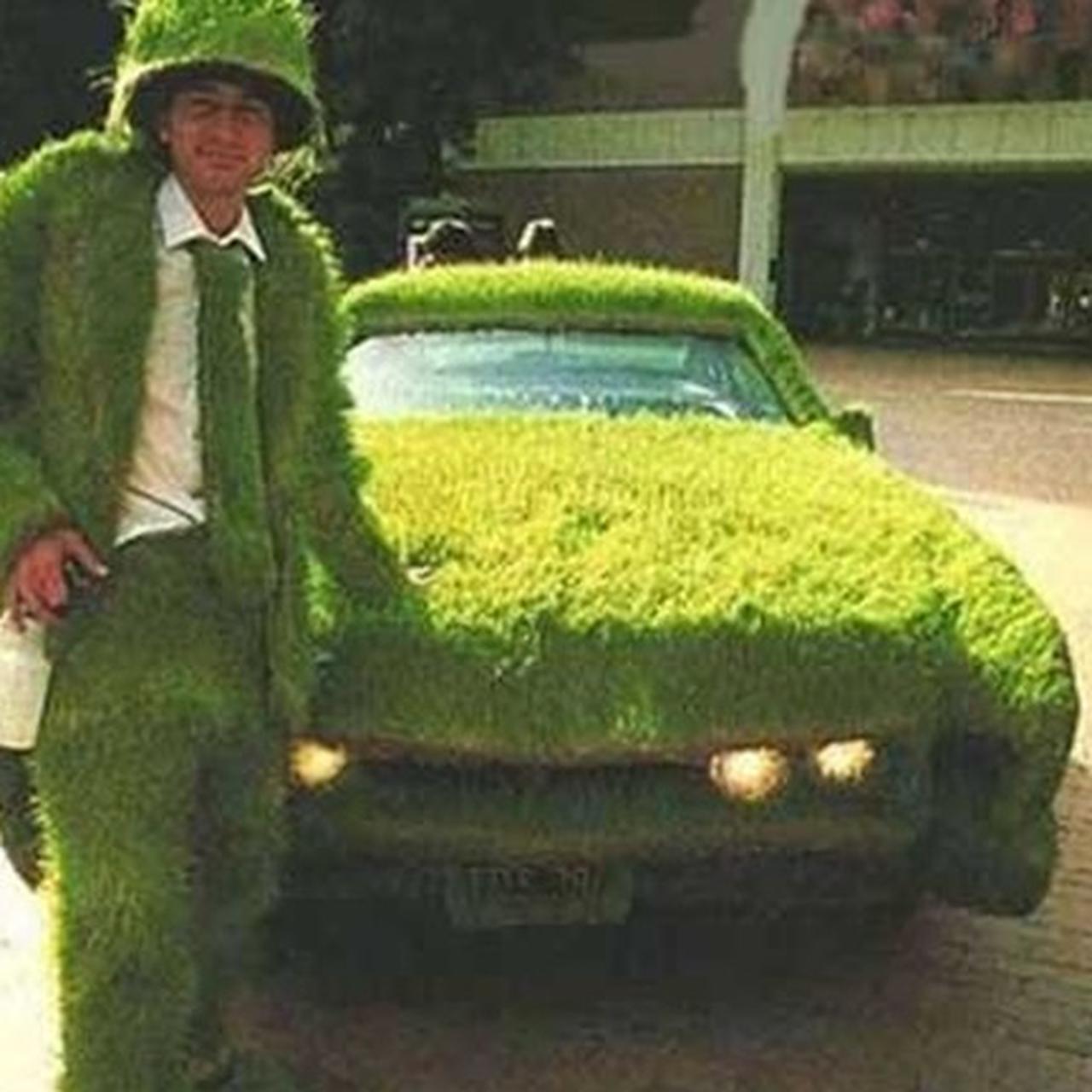 Mobil hijau (boredpanda)