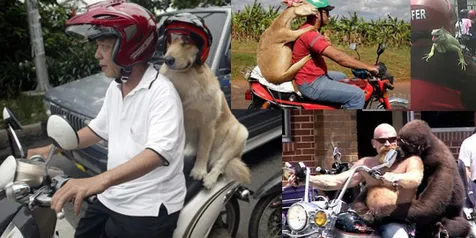 7 Trik Sepeda Motor Bonceng Binatang Otosia Com