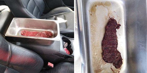 Gelombang Panas Australia, Bisa Masak Steak Well-Done di Mobil