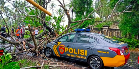 Pemilik Bisa Ajukan Klaim Asuransi Jika Mobil Tertimpa Pohon Tumbang di Jakarta Pusat