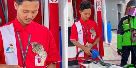 Gemes Banget! Petugas Pertashop Ngemong Kucing Sambil Isi BBM ke Motor