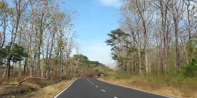 Kisah Angker Jurang Tangis Di Jalur Eksotis Hutan Baluran