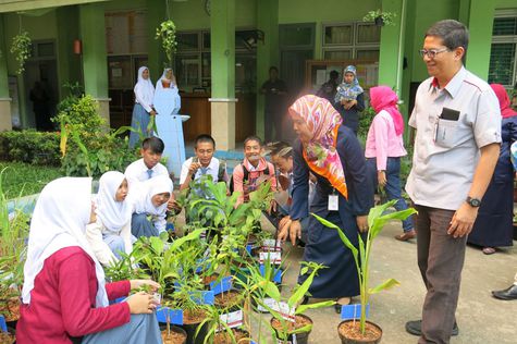 AHM Bantu 12 Sekolah dengan 850 Tanaman Obat Otosia com