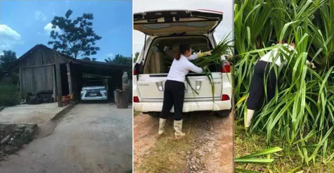 Foto by Khoa The Nguyen