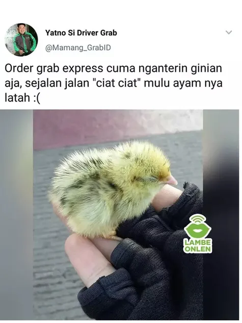 5700 Gambar Hewan Anak Ayam Gratis