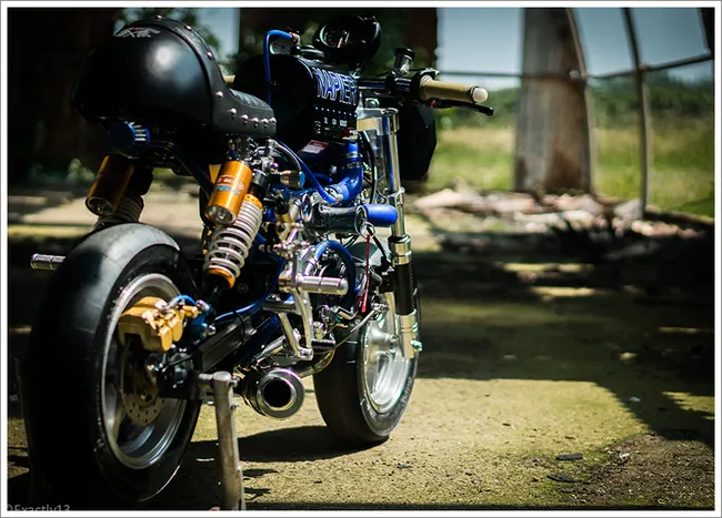 tercepat di dunia ddff4a