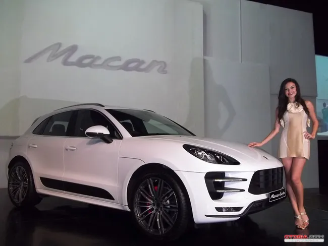 macan yang mengatur minum bbm d4717e