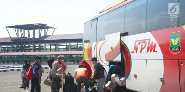 Komentar Perusahaan Otobus Soal Viralnya Penumpang Di Bagasi Otosia Com