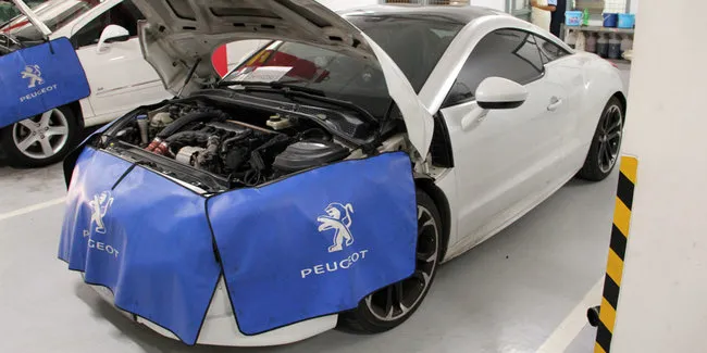 Peugeot Bursa Servis