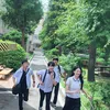 daftar drama korea pendek