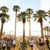 Coachella