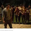 THE MAZE RUNNER 
