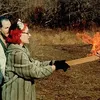 10 film ini dikecam negara